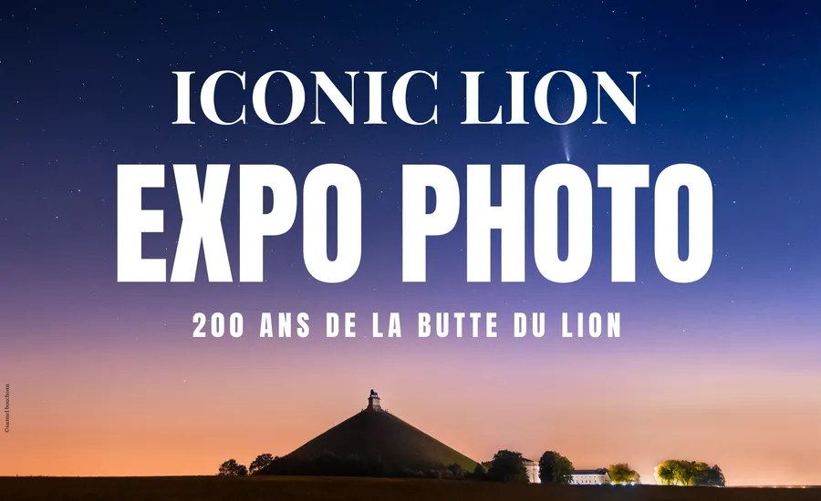 Expo photo : ICONIC LION